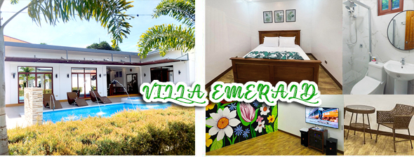 image-front-590x460-newa